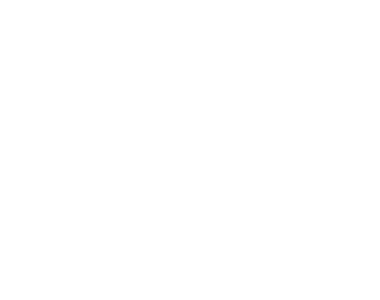 matador
