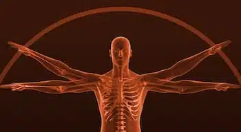 RibCageScience.jpg